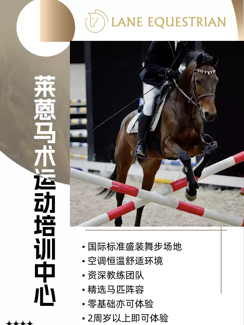 【驭马追风】市中心马术体验——莱蒽马术