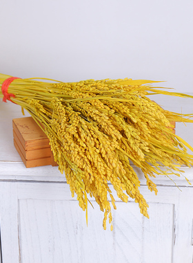 天然干稻穗稻谷麦穗干花稻穗拍摄 摄影道具橱窗装修造景五谷丰登