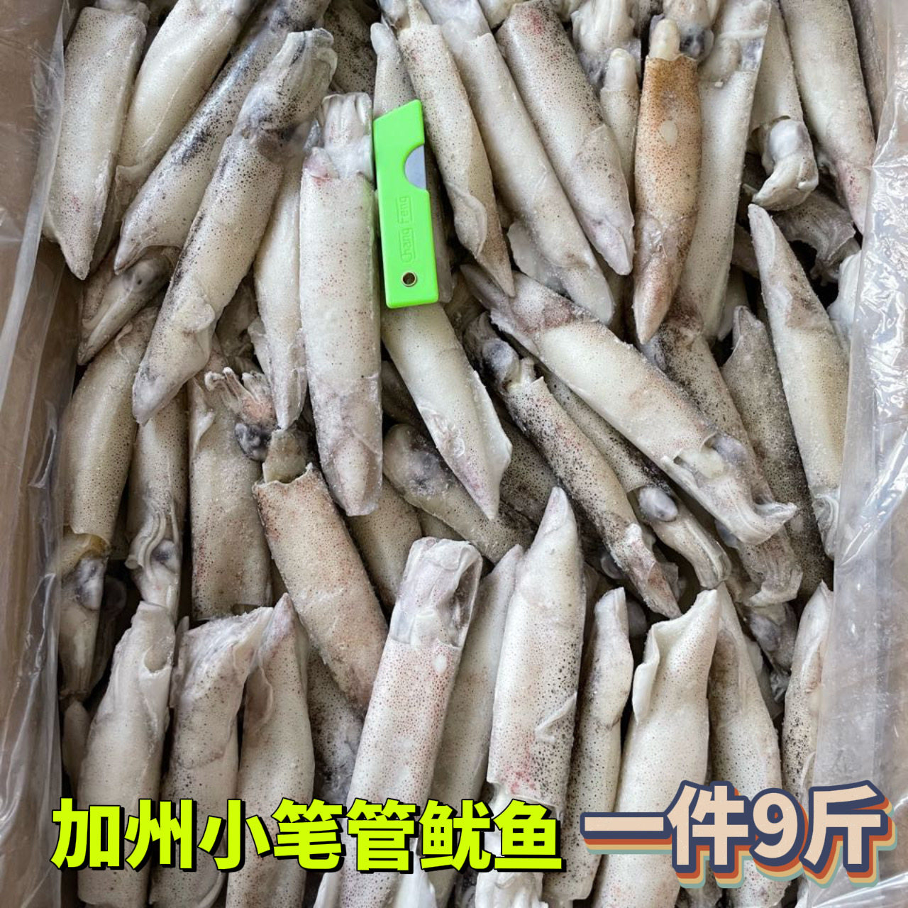 加州笔管鱼鲜冻生皮籽乌带籽海兔子带籽笔管鱼批发商用海鲜食材