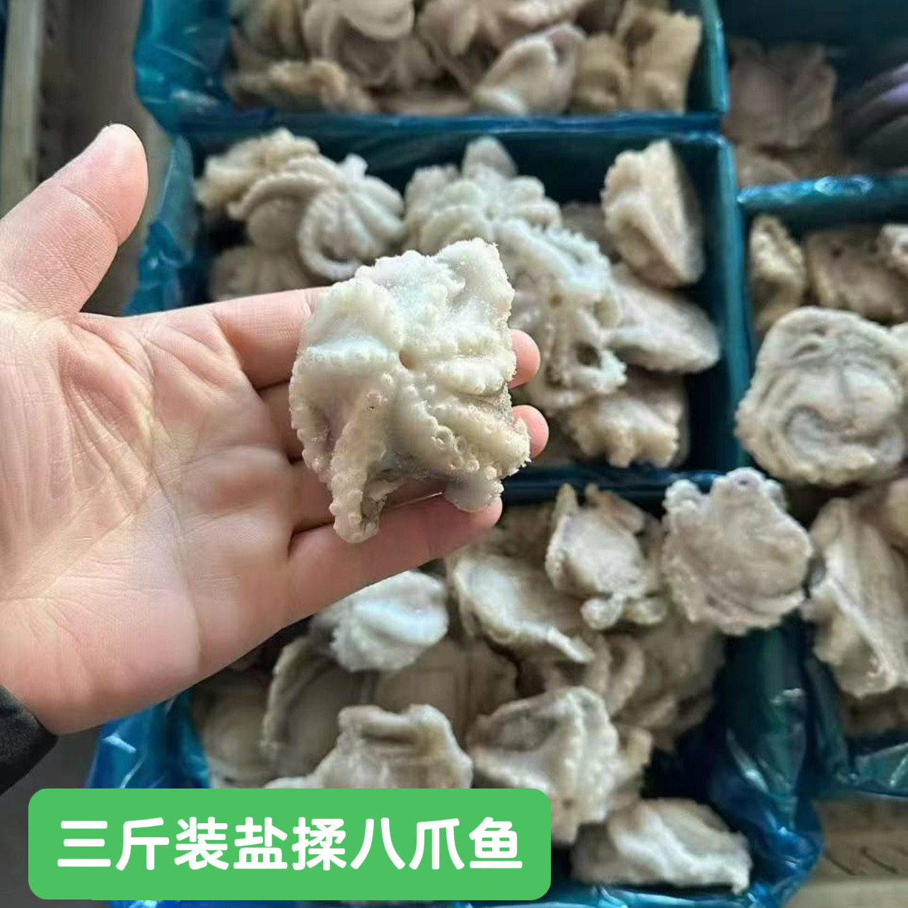 三斤装盐磨八爪鱼新鲜冷冻小八爪三去八爪鱼捞汁小海鲜整箱批发