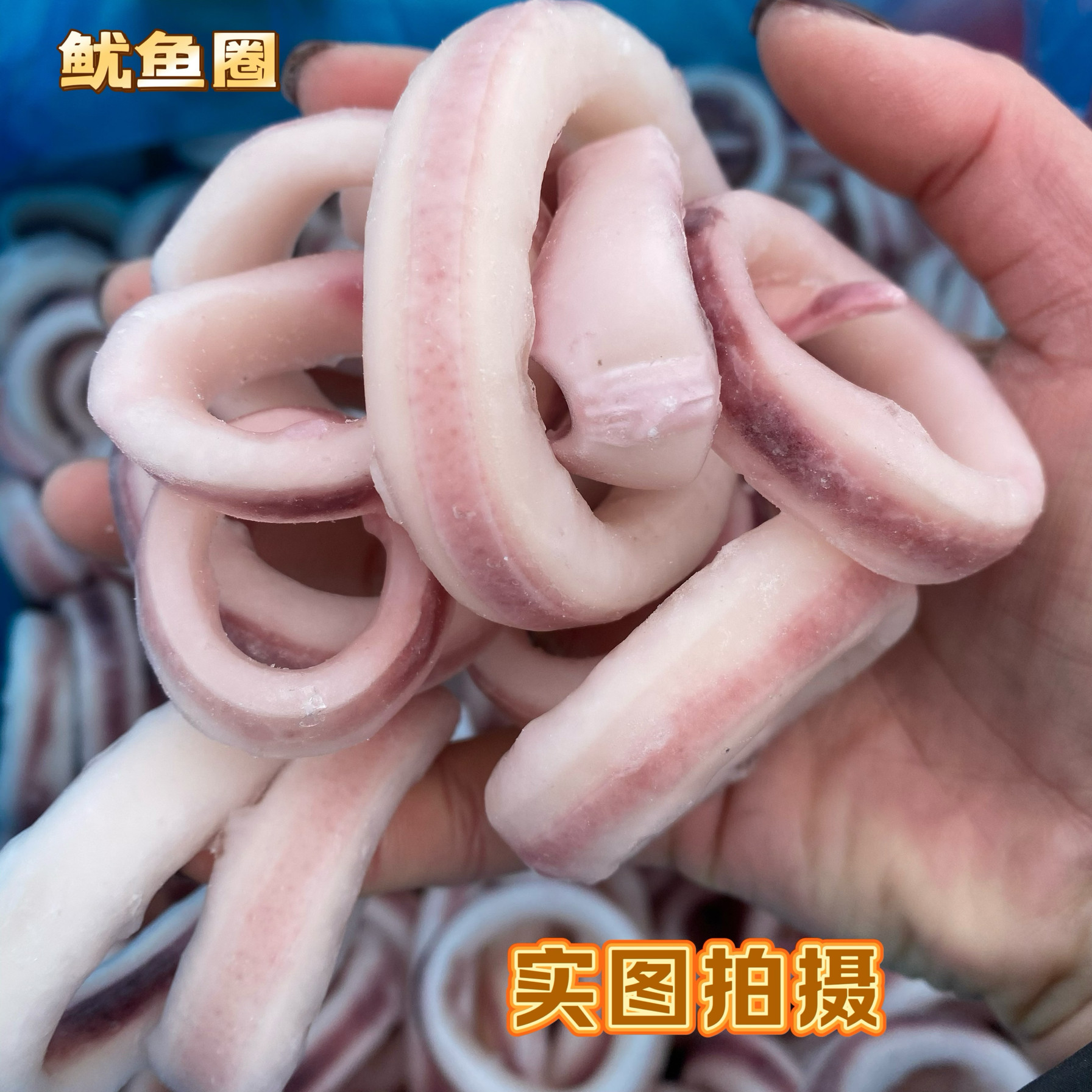 鲜切鱿鱼圈新鲜冷冻鱿鱼圈油炸小吃自助火锅商用批发食材烧烤