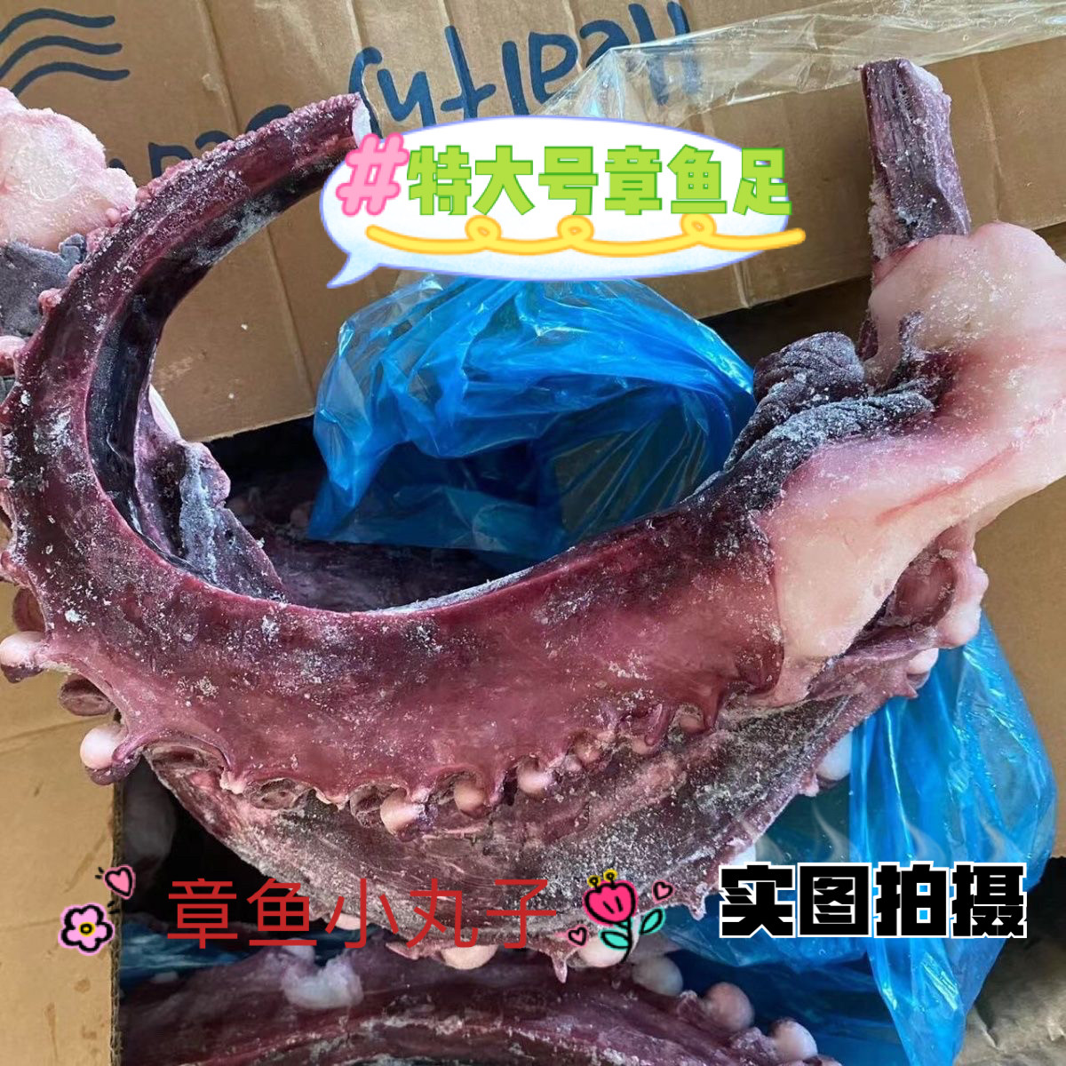 章鱼须超大章鱼足特大鱿鱼须八爪鱼腿铁板烧烤刺身章鱼小丸子商用