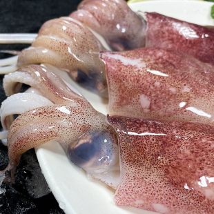 新鲜小管鱿鱼鲜活活冻鱿鱼仔章鱼海兔子火箭灯光鱿鱼筒生鲜