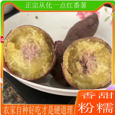 粉糯香甜正宗从化一点红番薯新鲜现挖高山紫心红薯冰淇淋地瓜自种
