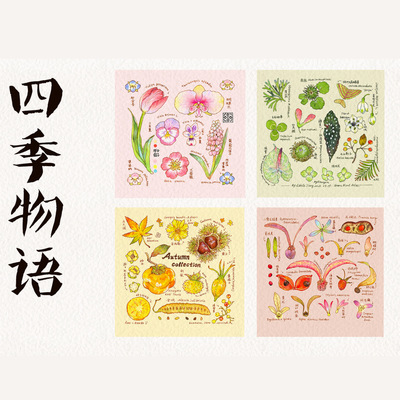 LittleJiang淡彩四季物语植物图鉴配套画材包荷尔拜因钢笔淡彩