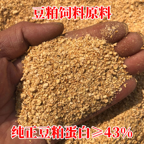 豆粕新鲜麦麸养殖鸡鸭鹅垂钓打窝