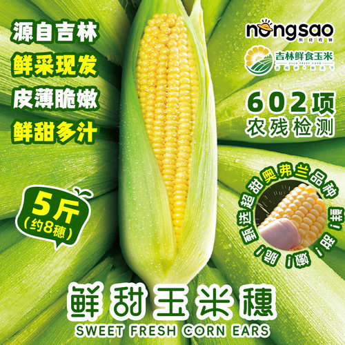 鲜采现发水果甜玉米穗5斤