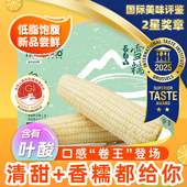 新货更甜糯 东北农嫂白甜糯玉米真空袋吉林原产低脂出口品质D