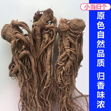 甘肃岷县无硫当归整根250g当归个非500g野生特级全归头片党参黄芪