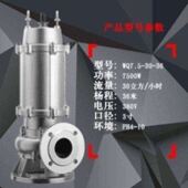 304不锈钢精铸水泵家用小型抽水机大流量污水泵灌溉排污水泵潜水