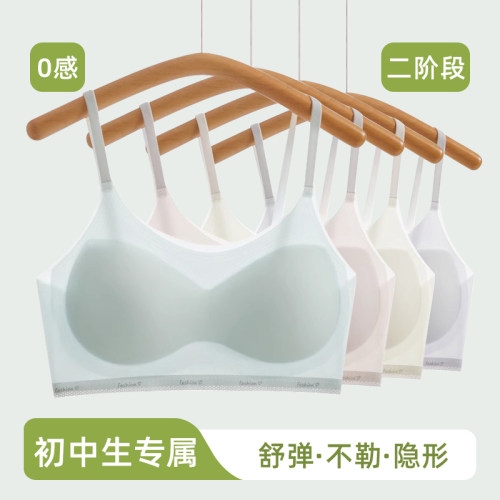 诺诺公主S1N初中生2025夏新款青春期大童发育二阶段少女发育内衣