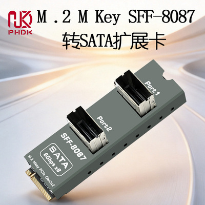 M2 MKey转2xSFF8087接口SATA6Gx8硬盘扩展卡Nas群晖Esxi飞牛Linux