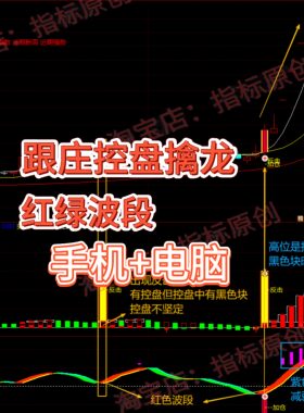 指标跟庄控盘擒龙综合决策系统