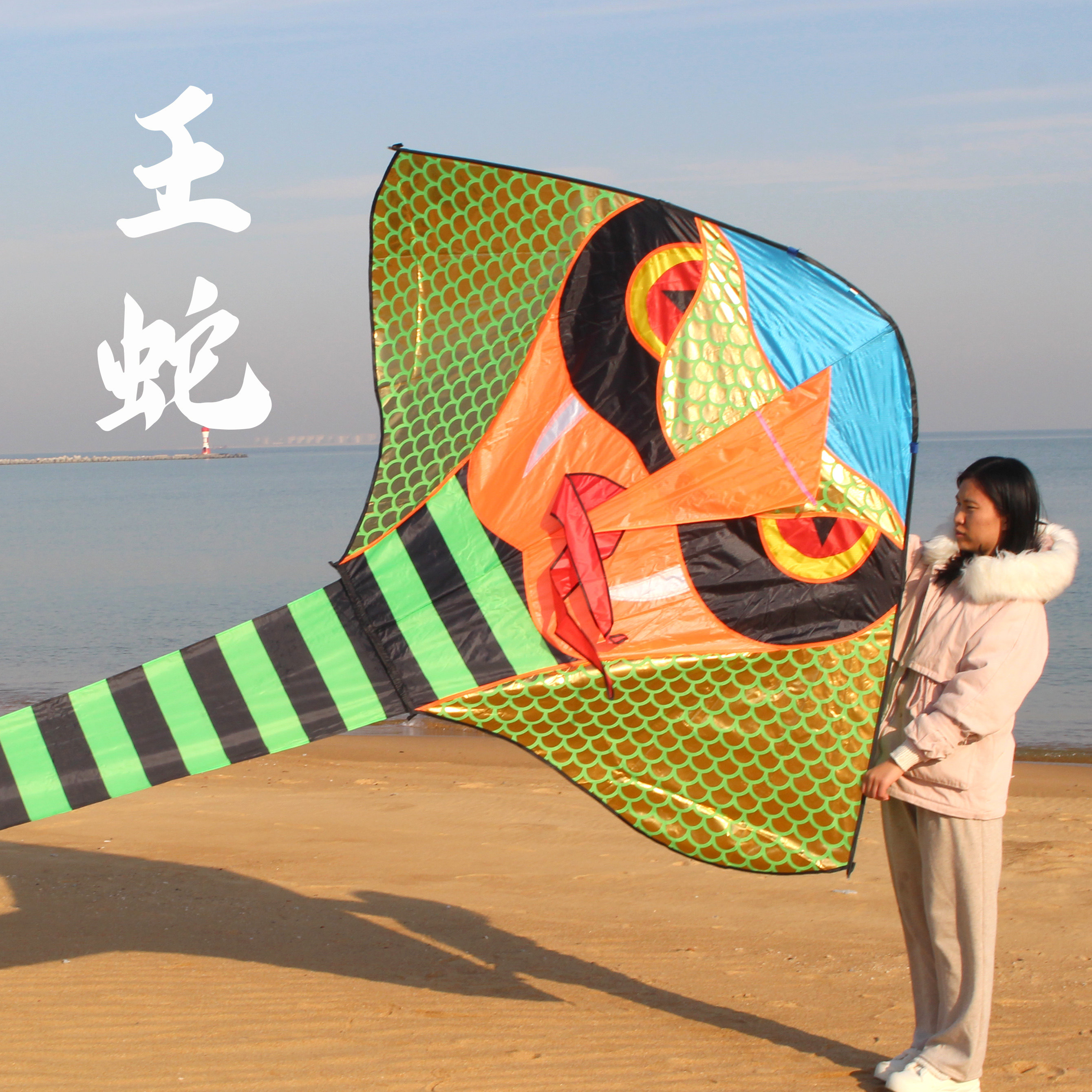 新款眼睛王蛇 高档大型长尾风筝 成人儿童初学者 微风好飞易飞