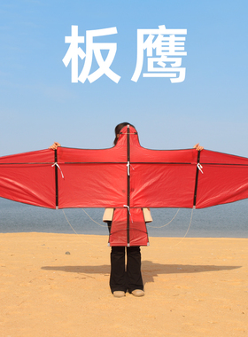纯色板鹰风筝P31伞布碳杆微风易飞成人高档大型新手轻松放飞