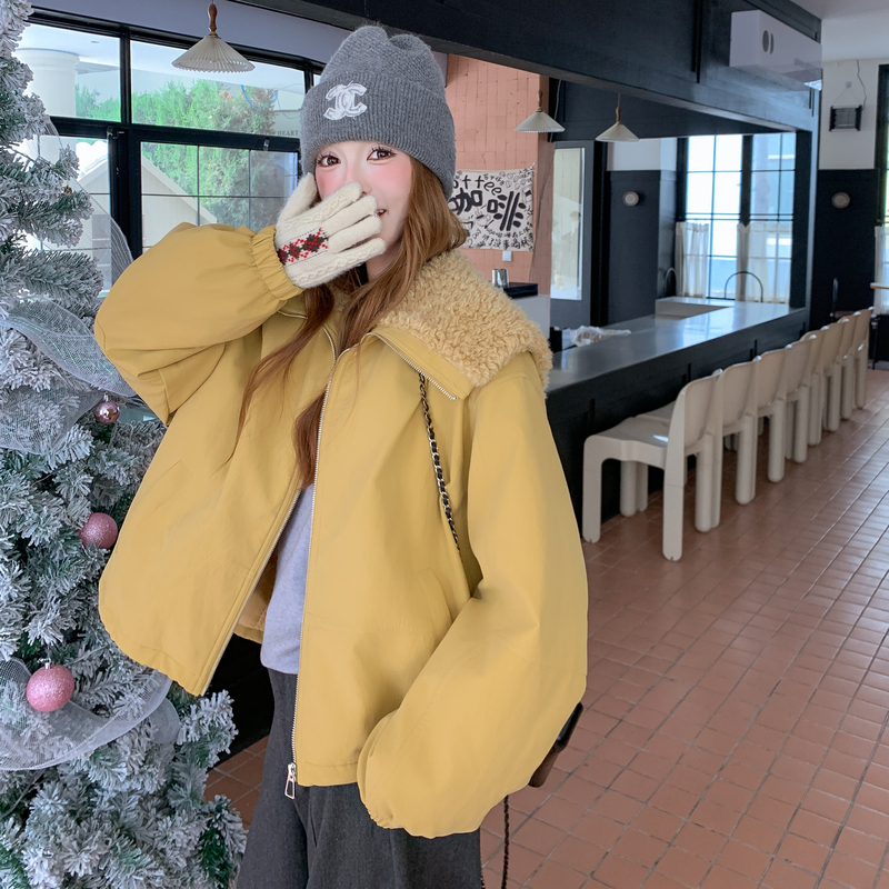 新款现货羊羔毛大翻领夹棉外套235-2562-P195-控288，女装棉衣/棉服，金十上