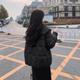 【现货】海军领短款白鸭绒羽绒服235-9937-P235-控358，女装羽绒服，金十上