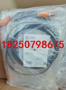 IFM易福门EVC384全新原装正品议价