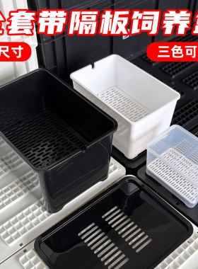 乌龟发色盒幼龟孵化饲养盒蛋龟加温黑白隔离龟苗饲养套盒带沉淀板