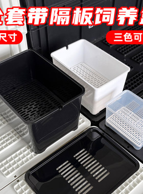 乌龟发色盒幼龟孵化饲养盒蛋龟加温黑白隔离龟苗饲养套盒带沉淀板