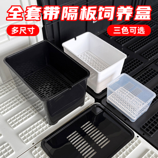 乌龟发色盒幼龟孵化饲养盒蛋龟加温黑白隔离龟苗饲养套盒带沉淀板