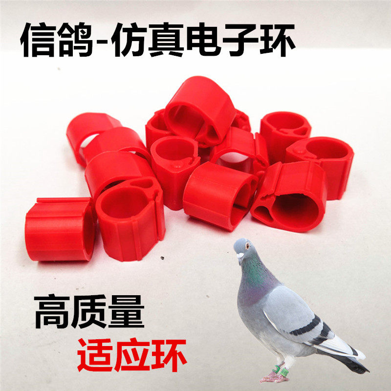 鸽子用品用具足环信鸽脚环仿真假