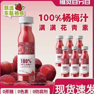 植觉百分百爆款冰杨梅汁东魁仙居冰野杨梅汁夏季清爽果汁果肉