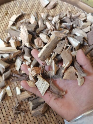 洗净晒干白背叶根白小娘根新鲜帽顶树根白膜根白朴根500g纯根包邮