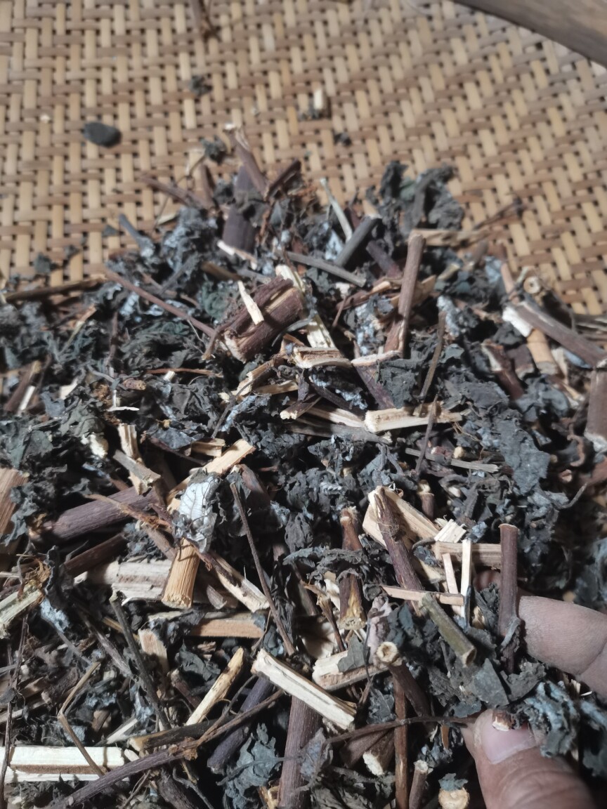 广西新鲜苎麻枝叶干品中草药苎麻叶野麻青麻白麻枝叶500克包邮