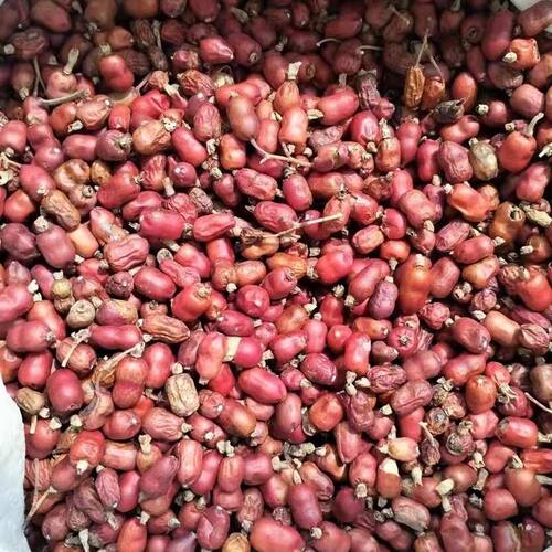 广西钦州野生山姜仔姜子红豆蔻山姜子包邮特产驱寒卤料香料