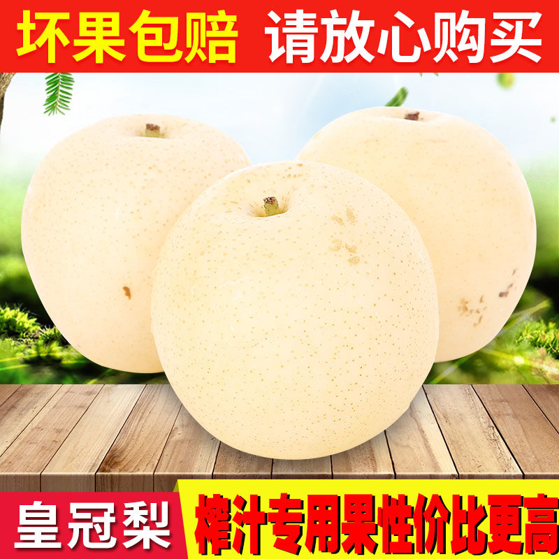 皇冠梨子 当季新鲜时令水果5斤整箱10斤包邮河北正宗香甜酥脆雪梨
