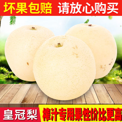 皇冠梨子 当季新鲜时令水果5斤整箱10斤包邮河北正宗香甜酥脆雪梨