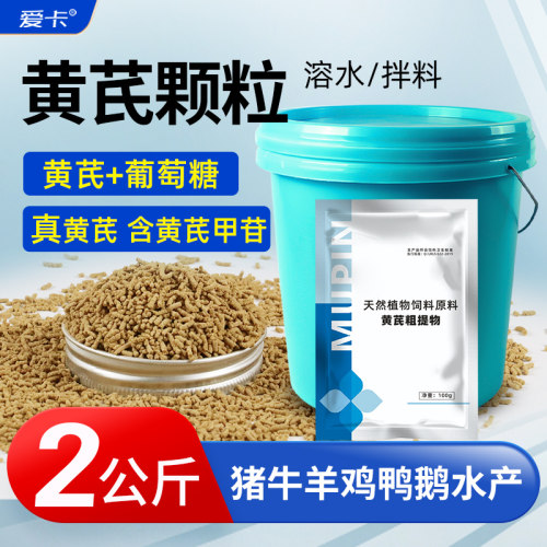黄芪多糖颗粒提高免疫力