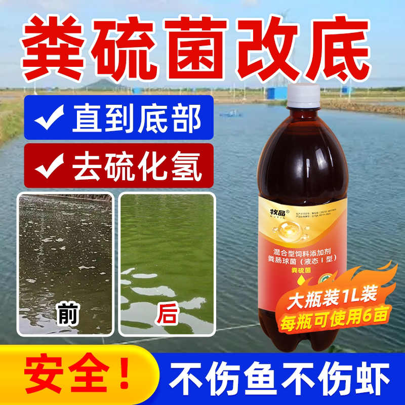 爱卡超级粪硫菌改底除臭去硫化氢
