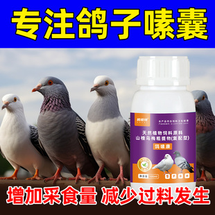 鸽嗉康专注鸽子嗉囊口吐粘液嗉囊积食鸽子增加采食量减少过料发生