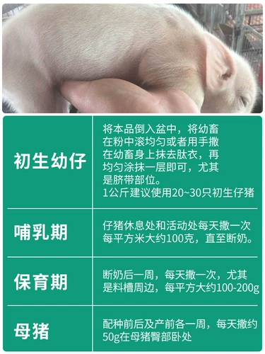 Свинька поднимает сырой порошок, поросят, свинца, свинома