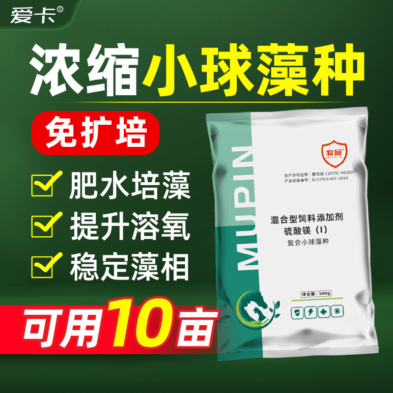 小球藻种水产养殖肥水培藻鱼虾蟹