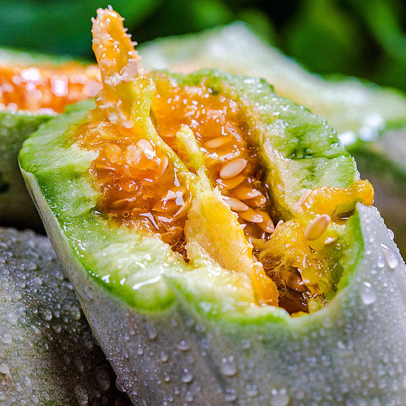 羊角蜜博洋61甜瓜新鲜