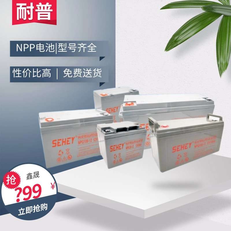 SEHEY西力UPS应急蓄电池NPG12V100AH65A38A24A17A免维护铅酸电瓶