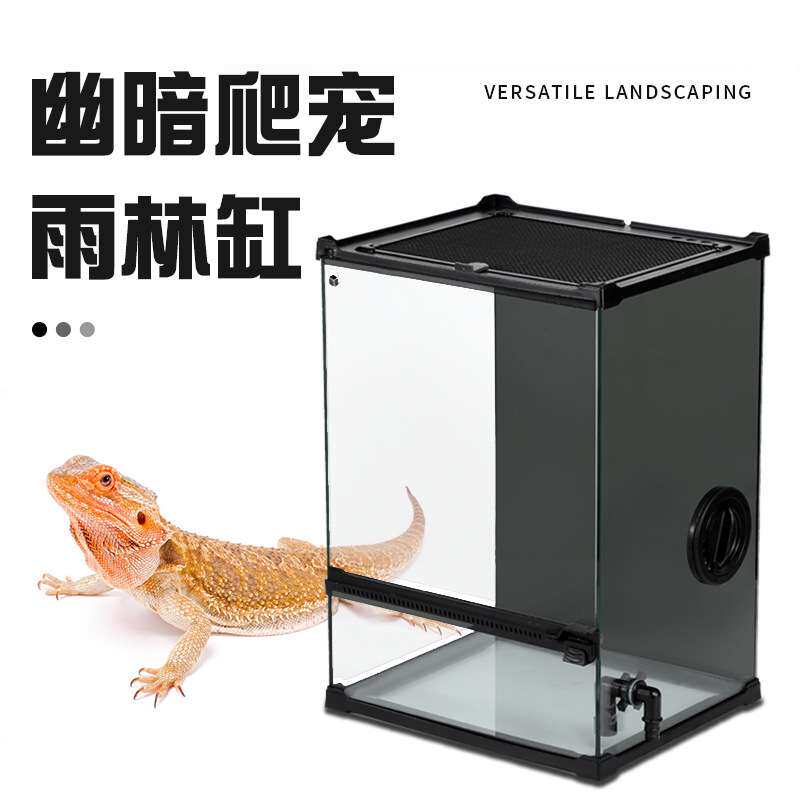 热带雨林爬宠生态缸微景观苔藓植物景观缸黑玻水陆裸缸桌面造景缸