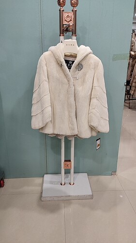 2026新款进口天鹅绒貂皮大衣原连帽整貂皮草外套女装年轻款SP1719
