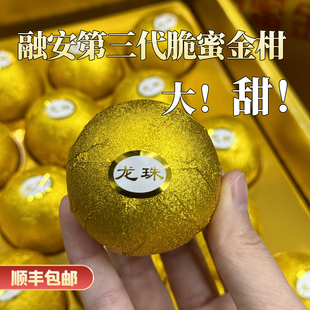 正宗融安脆蜜金桔第三代脆蜜金柑鲜果特大金箔费列罗礼盒装水果