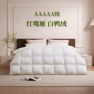 98特大朵白鸭绒被5A级无味红嘴雁鸭绒870蓬松羽绒被加厚保暖冬被