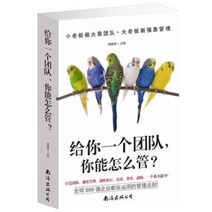 你能怎么管吗 带团队一定要会玩游戏 管理方面 书籍 人 团队管理书籍 给你一个团队 畅销书 带团队就是用好你身边