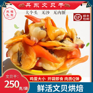 丹东特产野生大文贝干大黄蚬子干蛤蜊肉文贝肉去内脏开袋即食顺丰