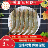 丹东大对虾黄海野生大对虾东方虾海捕对虾超大号青虾