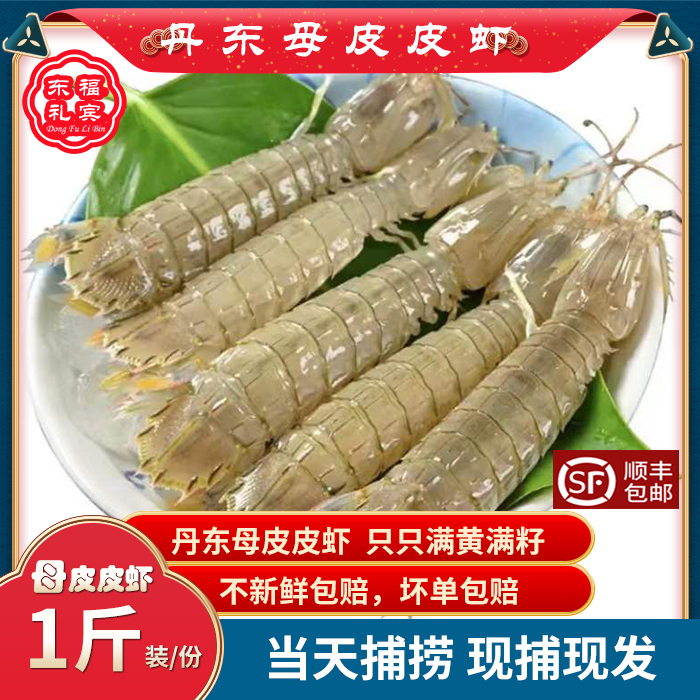丹东皮皮虾虾爬子野生全母鲜活
