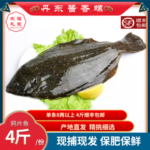 丹东特产鸦片鱼鲜活比目鱼石匠海鱼蝶鱼打捞小嘴鱼黄海野生
