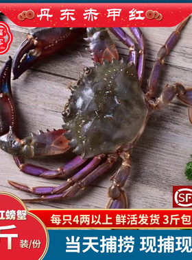 丹东野生赤甲红石头蟹鲜活野生