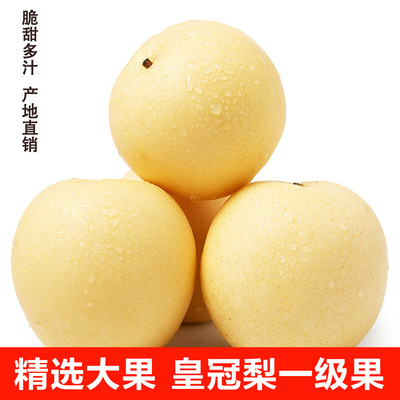 正宗河北皇冠梨子新鲜水果包邮